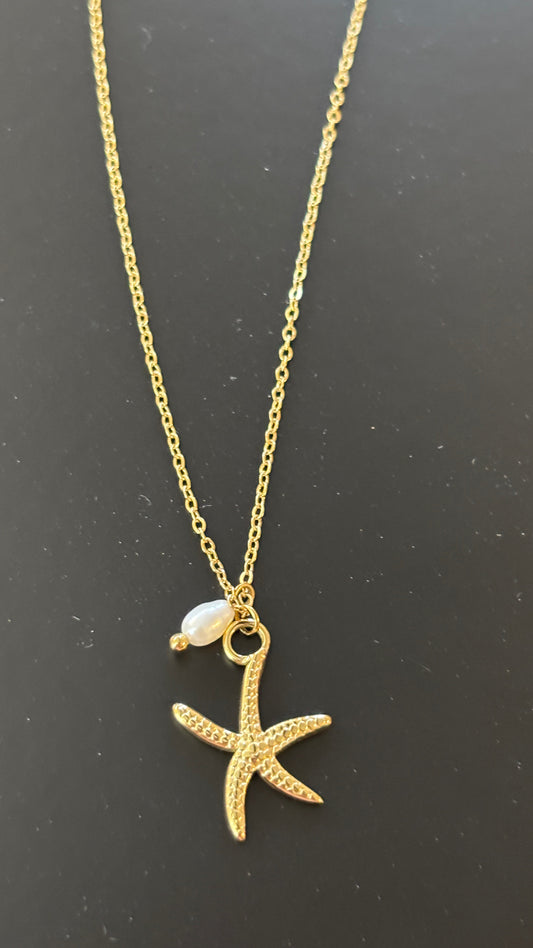 Le collier étoile de mer