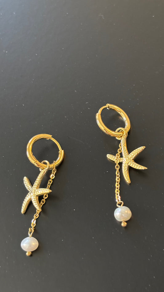 Les boucles étoiles de mer