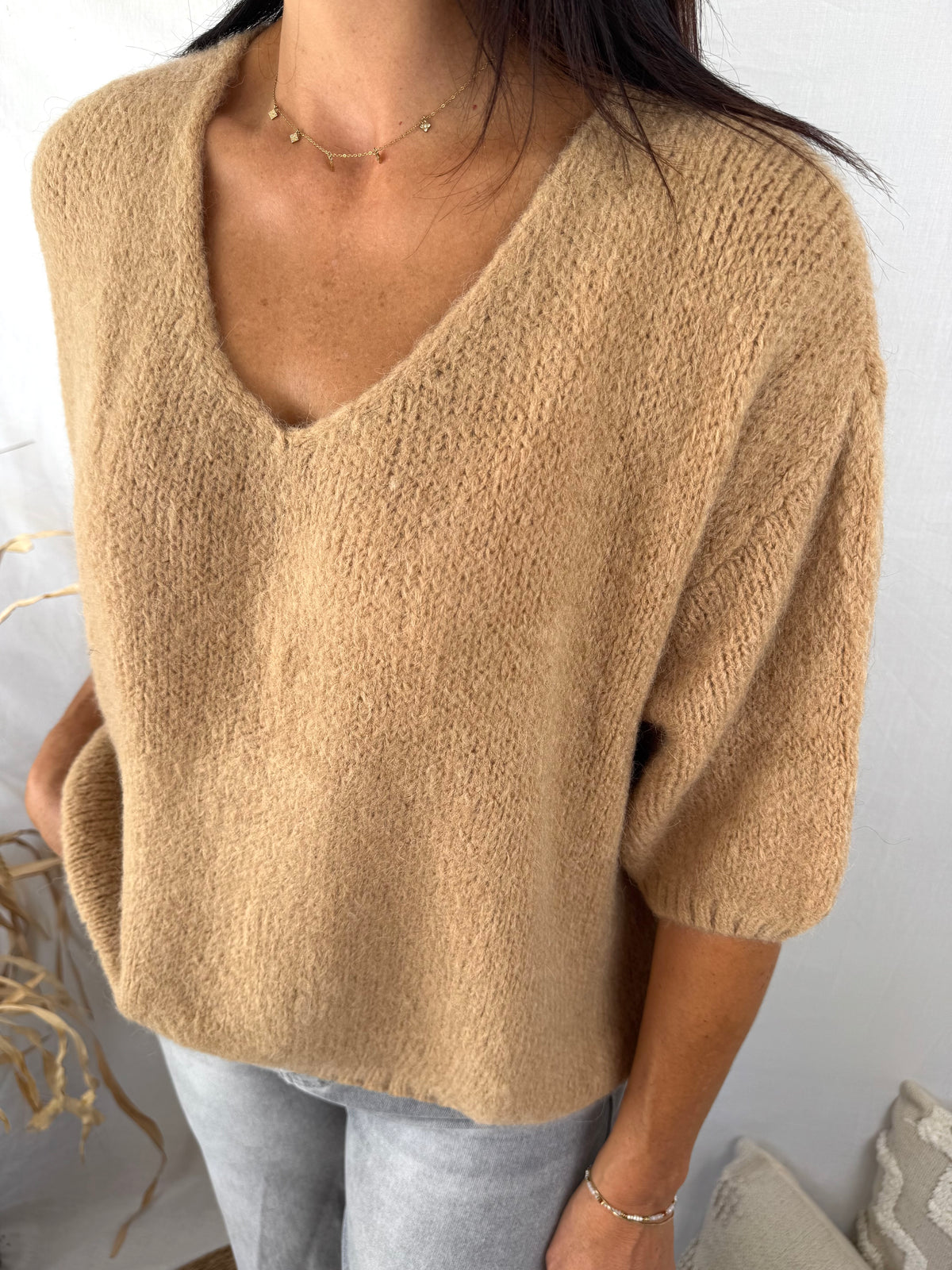 Pull Alix camel