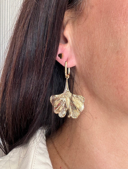 Les boucles ginkgo