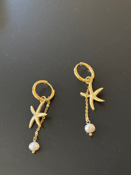Les boucles étoiles de mer