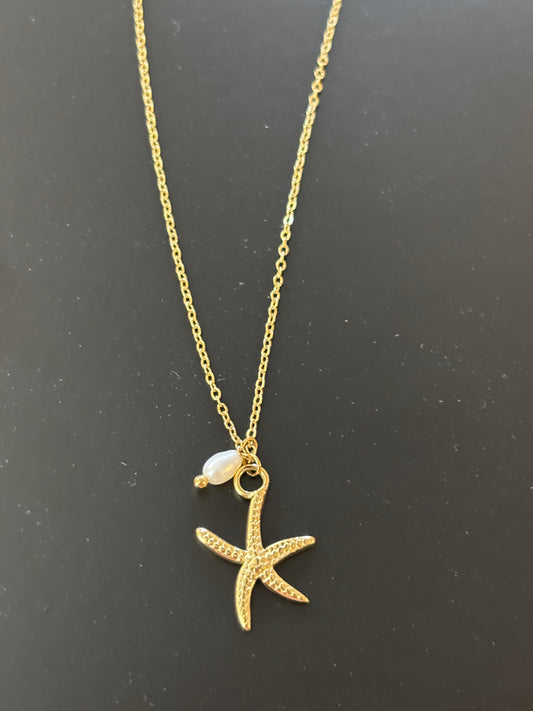 Le collier étoile de mer