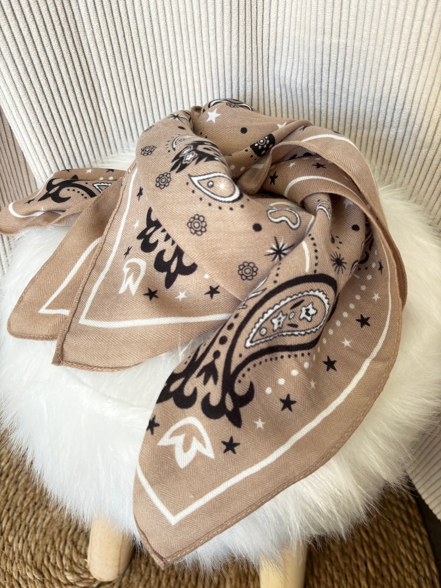 Le foulard Ted